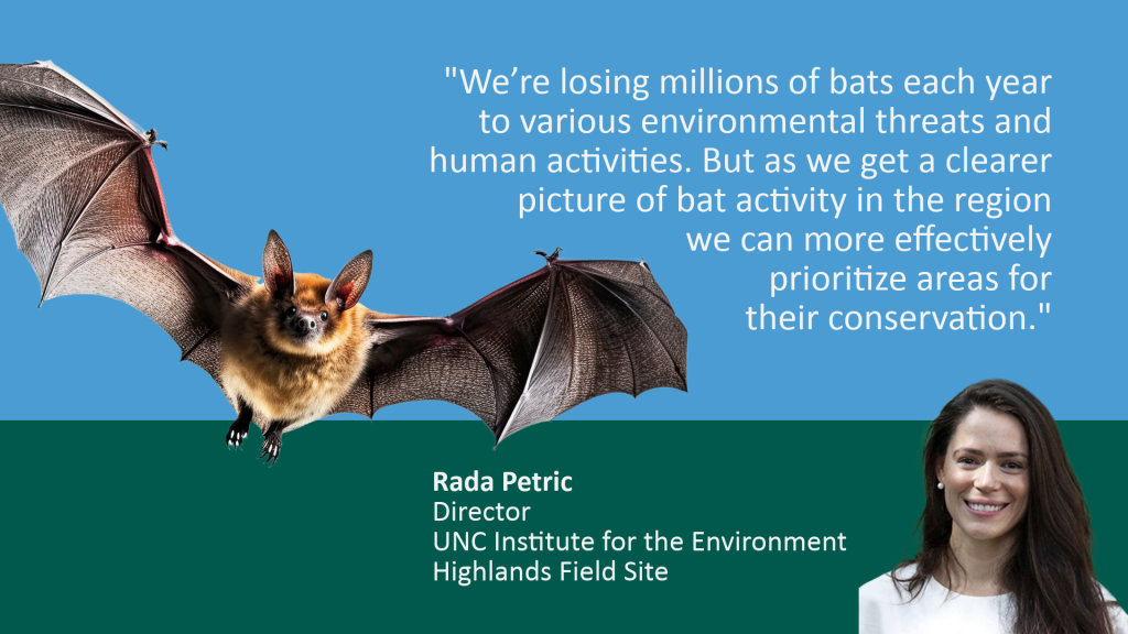 Rectangular graphic is Carolina blue on top and dark green on the bottom. A quote in blue reads, "We're losing millions of bats each year to various environmental threats and human activities. But as we get a clearer picture of bat activity in the region, we can more effectively prioritize areas for their conservation." In the green space below, the quote is credited to Rada Petric, Director, UNC Institute for the Environment, Highlands Field Site. There is a photo of Petric on the right bottom of the graphic, and an image of a bat flying on the left.